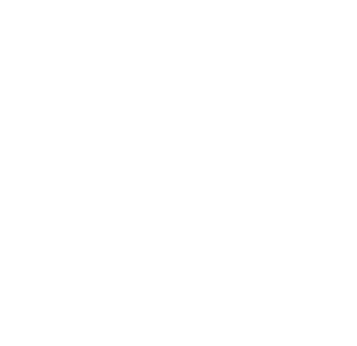 Digicel Logo